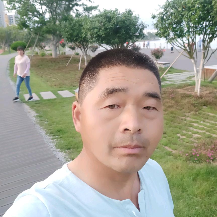 杨洋。