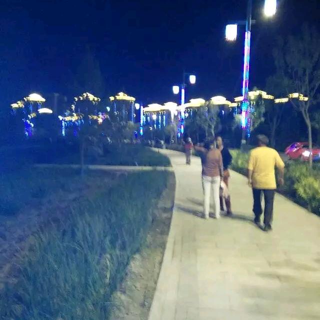 (｡･㉨･｡)ﾉ♡ 二蛋