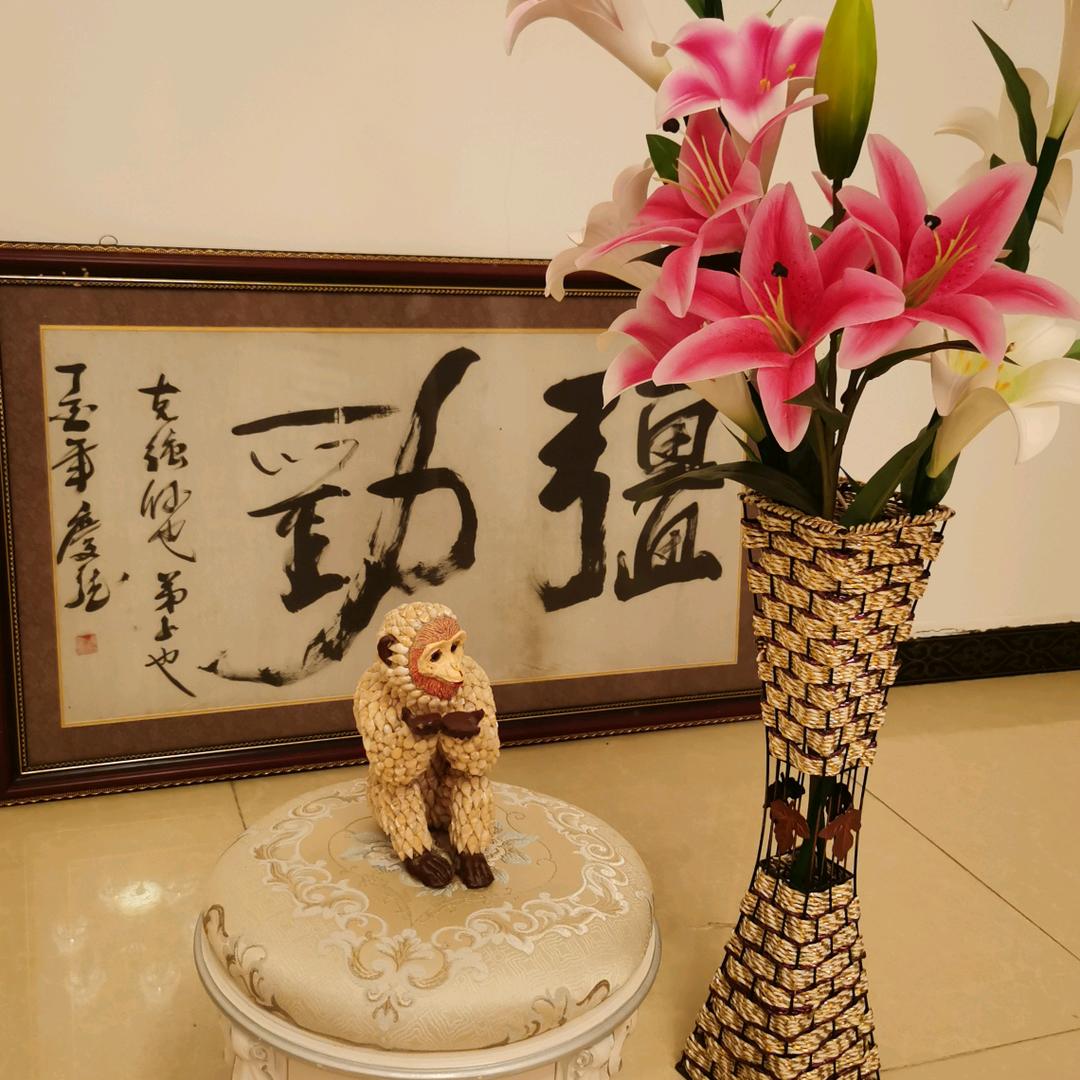 中国红枫。羽毛枫。基地。