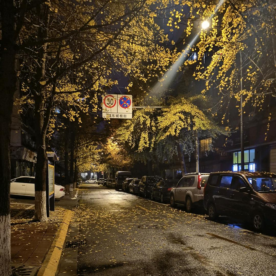 假如你还在