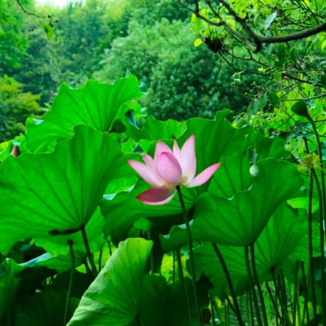 环俊海