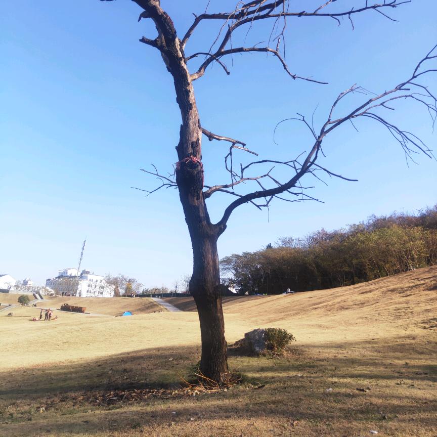 太阳☀