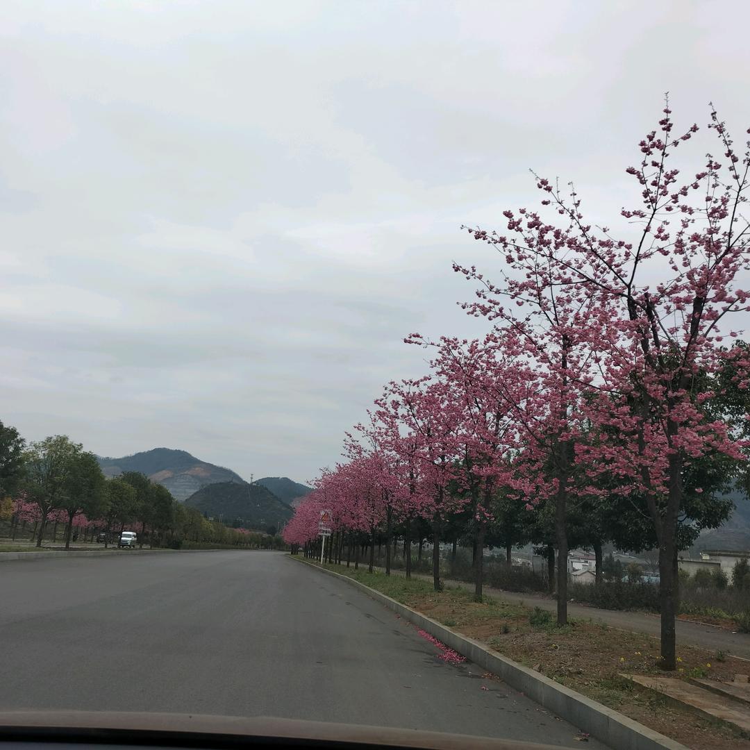 阿耿