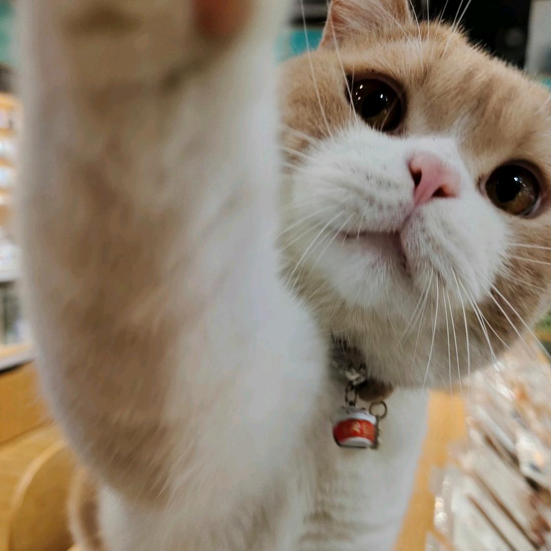 归一不语禅僧服厂家