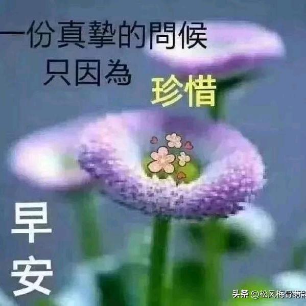 😍孤星✺◟(∗❛ัᴗ❛ั∗)◞✺