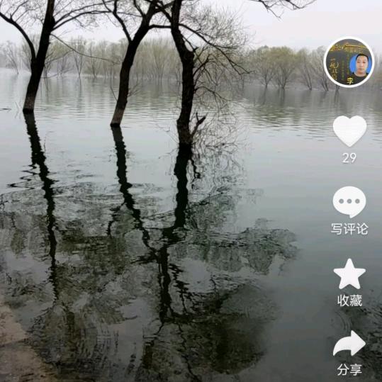 木土雨田