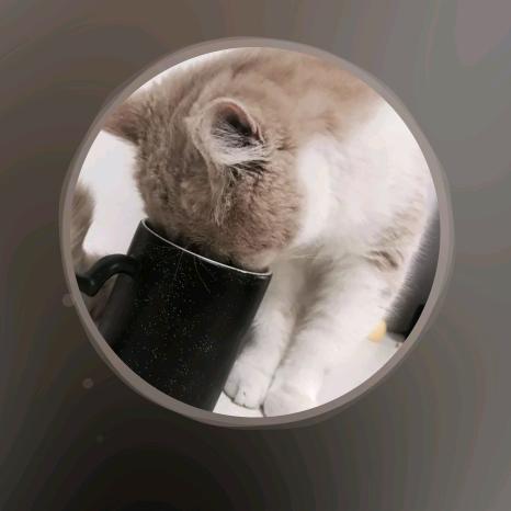 随便起个名字吧啦