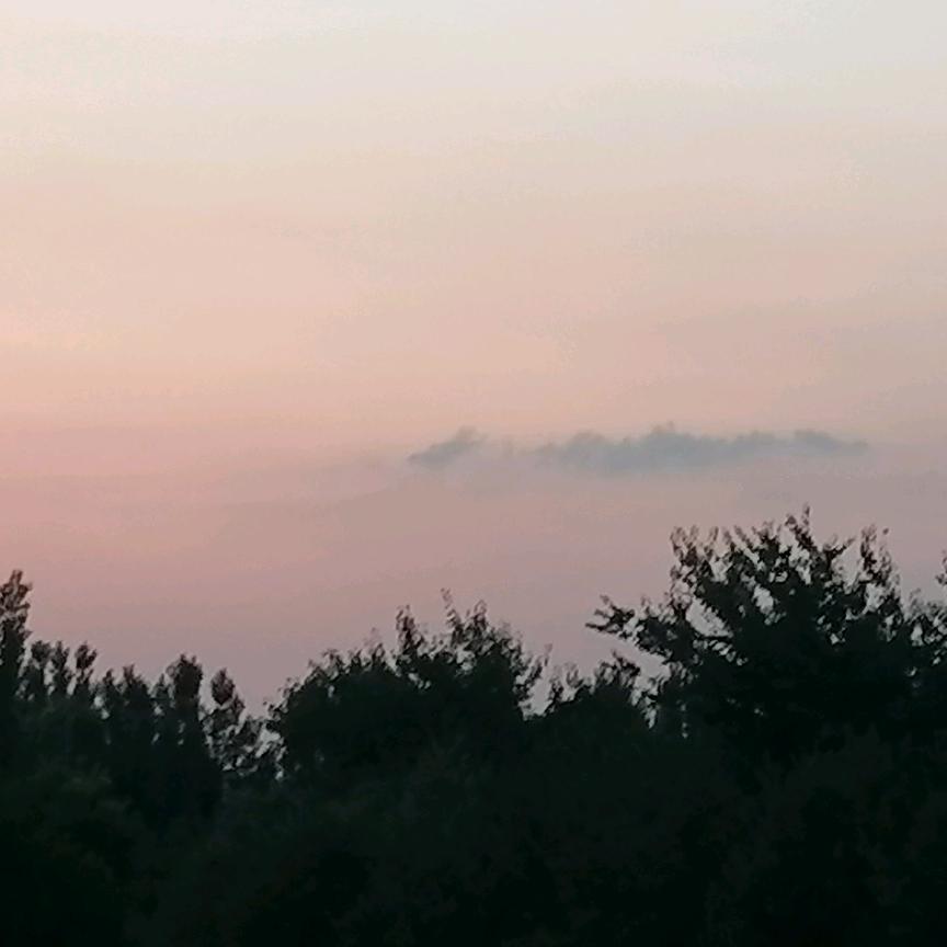 时尚奶奶✨  ︵ ("\(●-●)