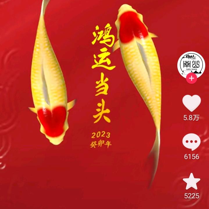 遇见更好的自己