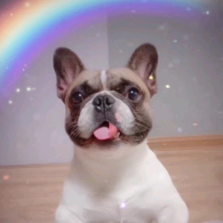 南阳市宛城区番茄甜新疆炒米粉店