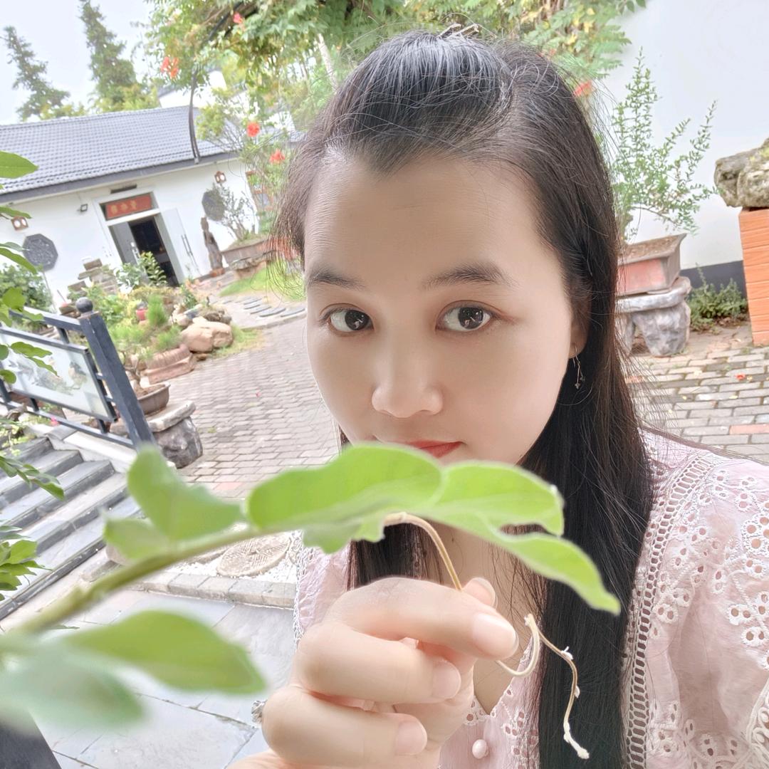 ୧⍤⃝🌻阿秋秋