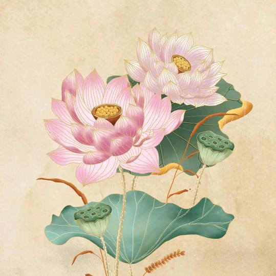 ^O^✘.！、《✔-，_》