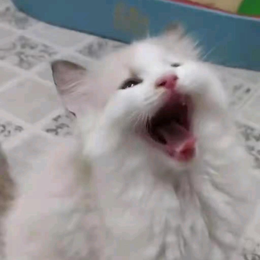 阅来悅顺
