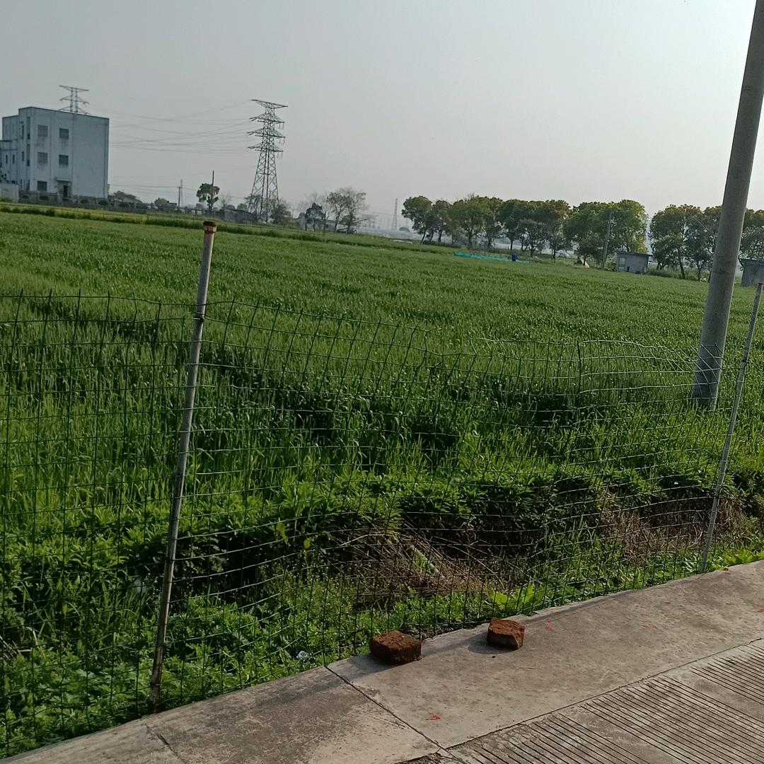 湖涂