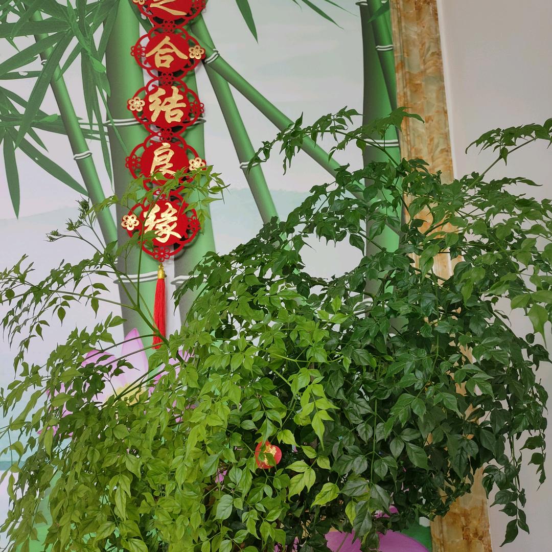 吉祥平安