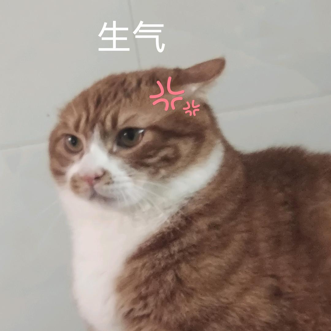 等雨停