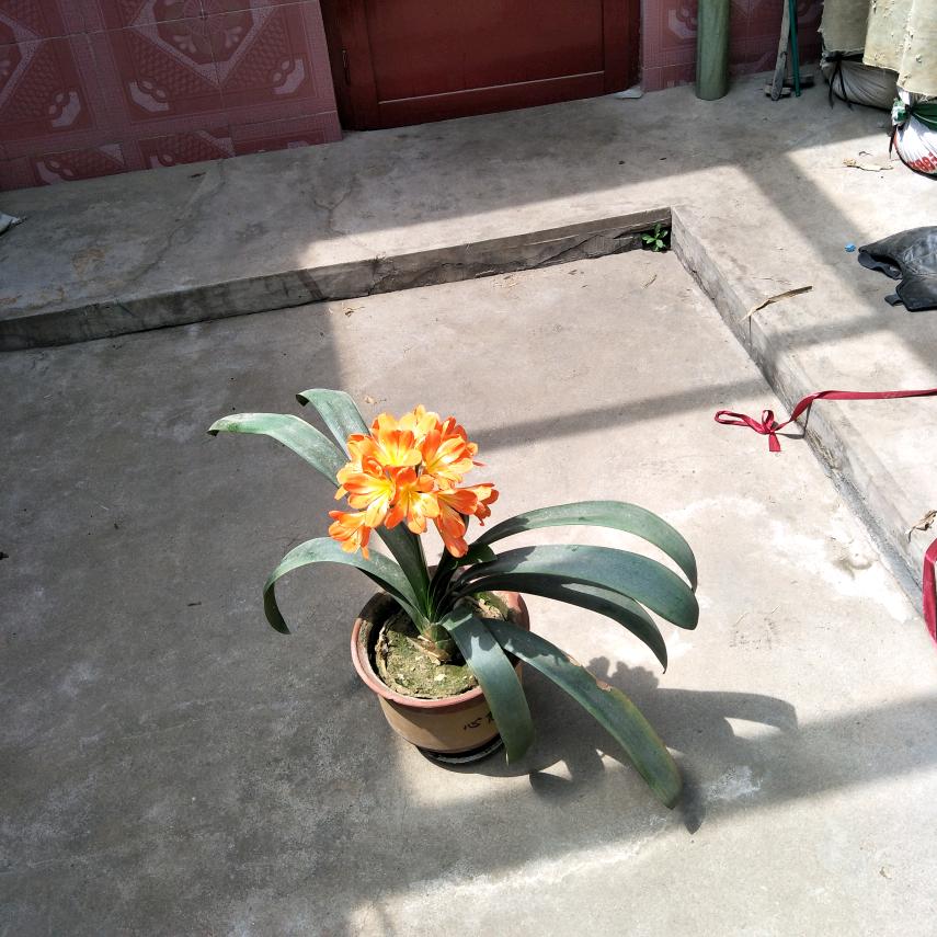敢于有梦