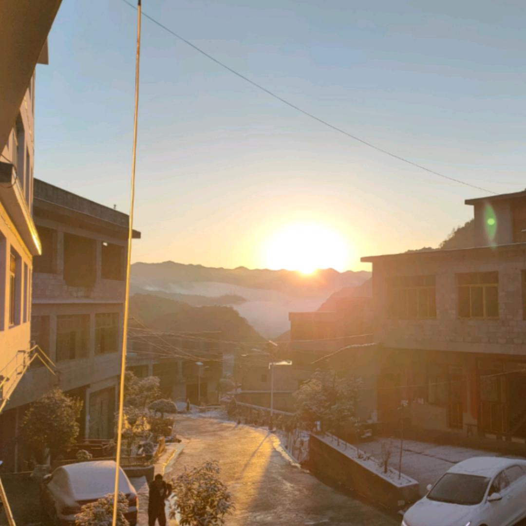 小马哥