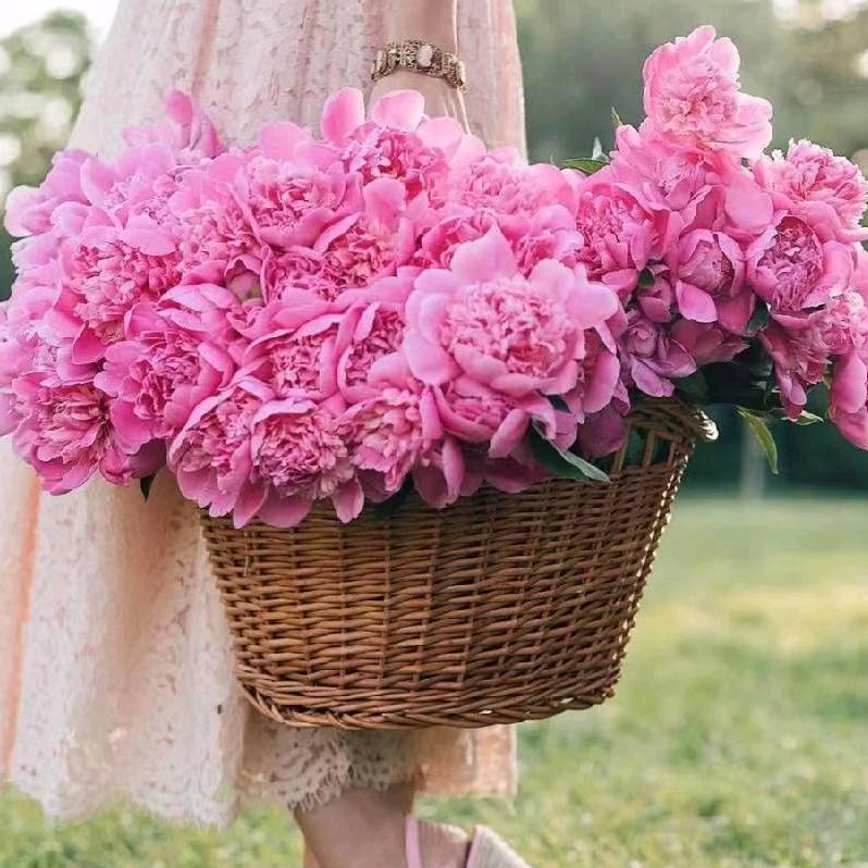 💞越来越好💞