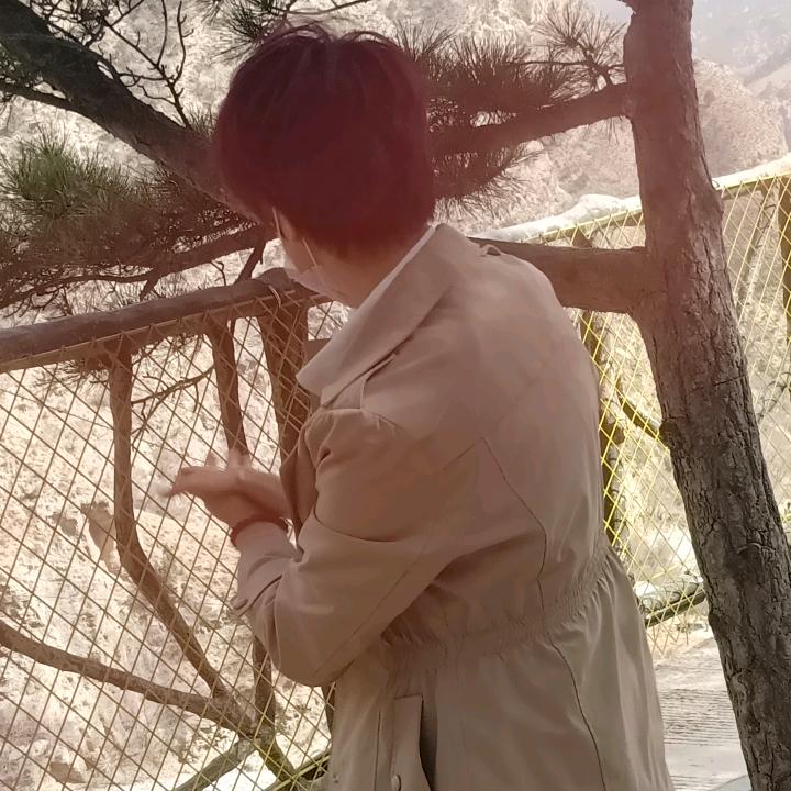 我心依然