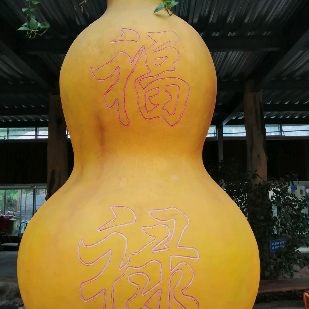 乡巴佬二哥71🐷7.6