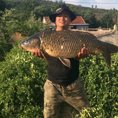 汶南刘峰(新泰第一野生鱼)