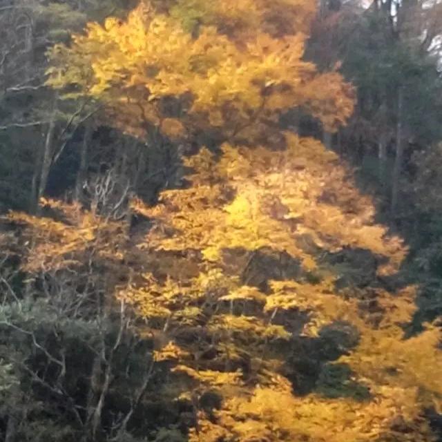 朱珠.一路秒杀