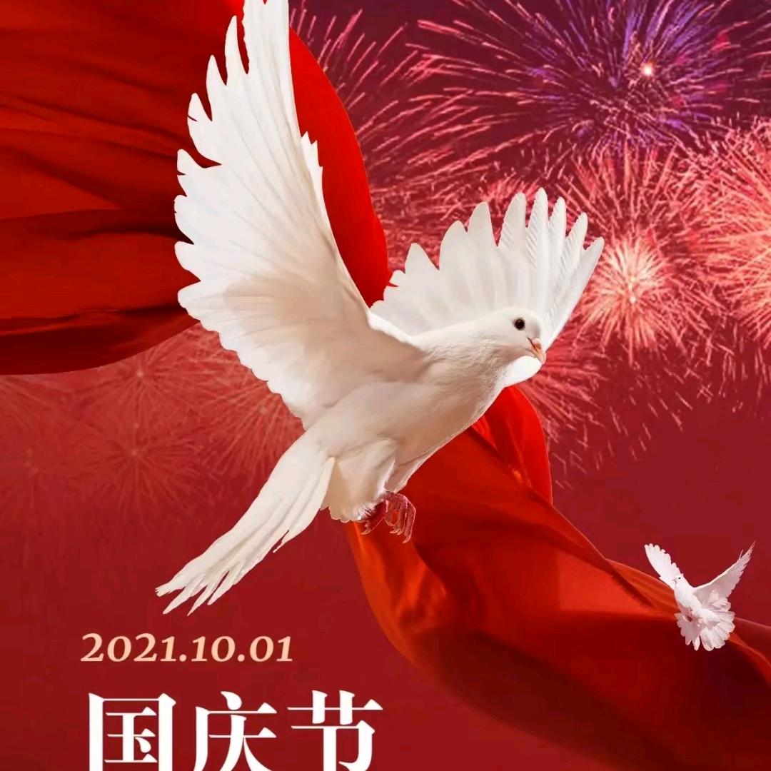 宁静致远258369