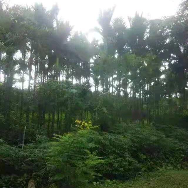 平安幸福