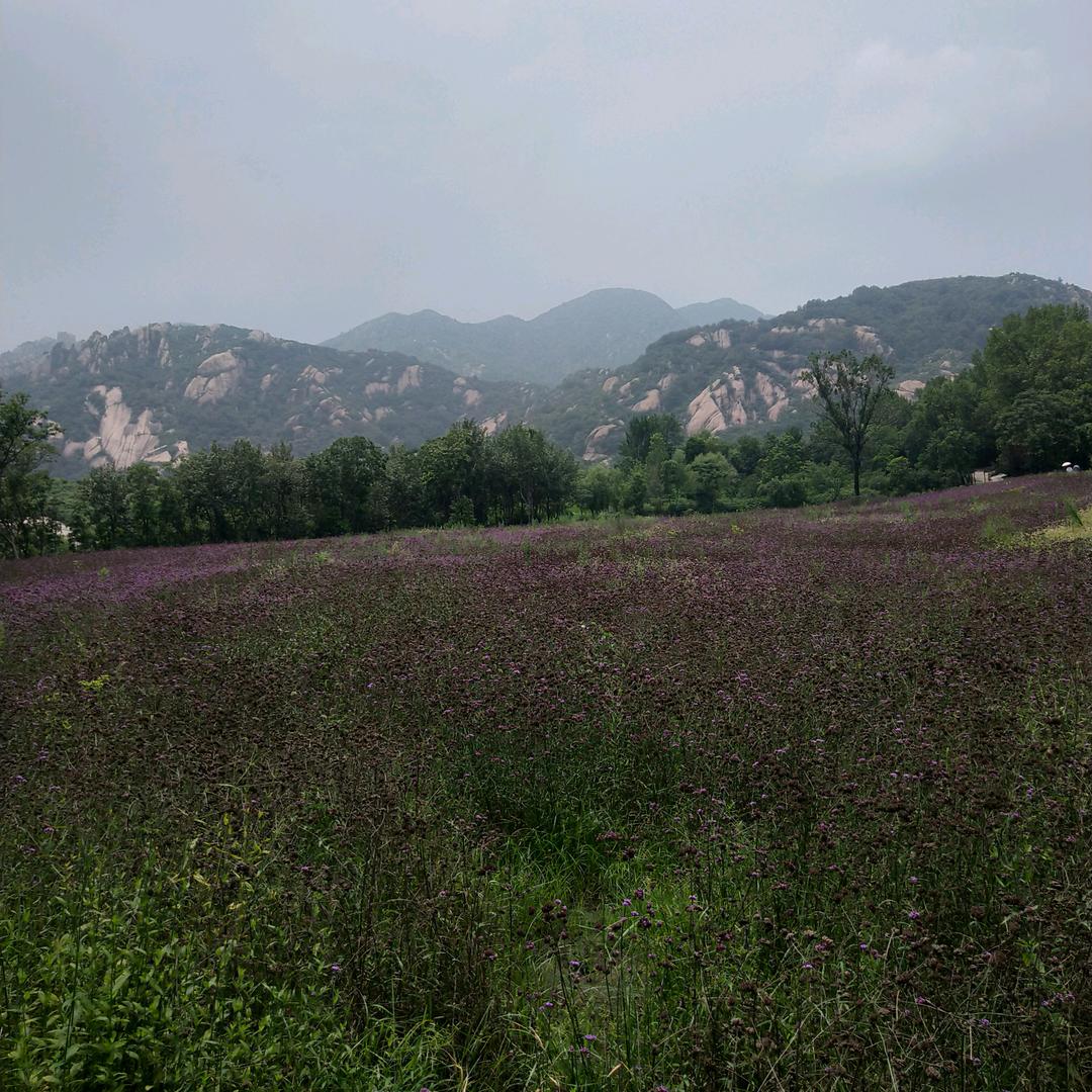 悠悠闲闲