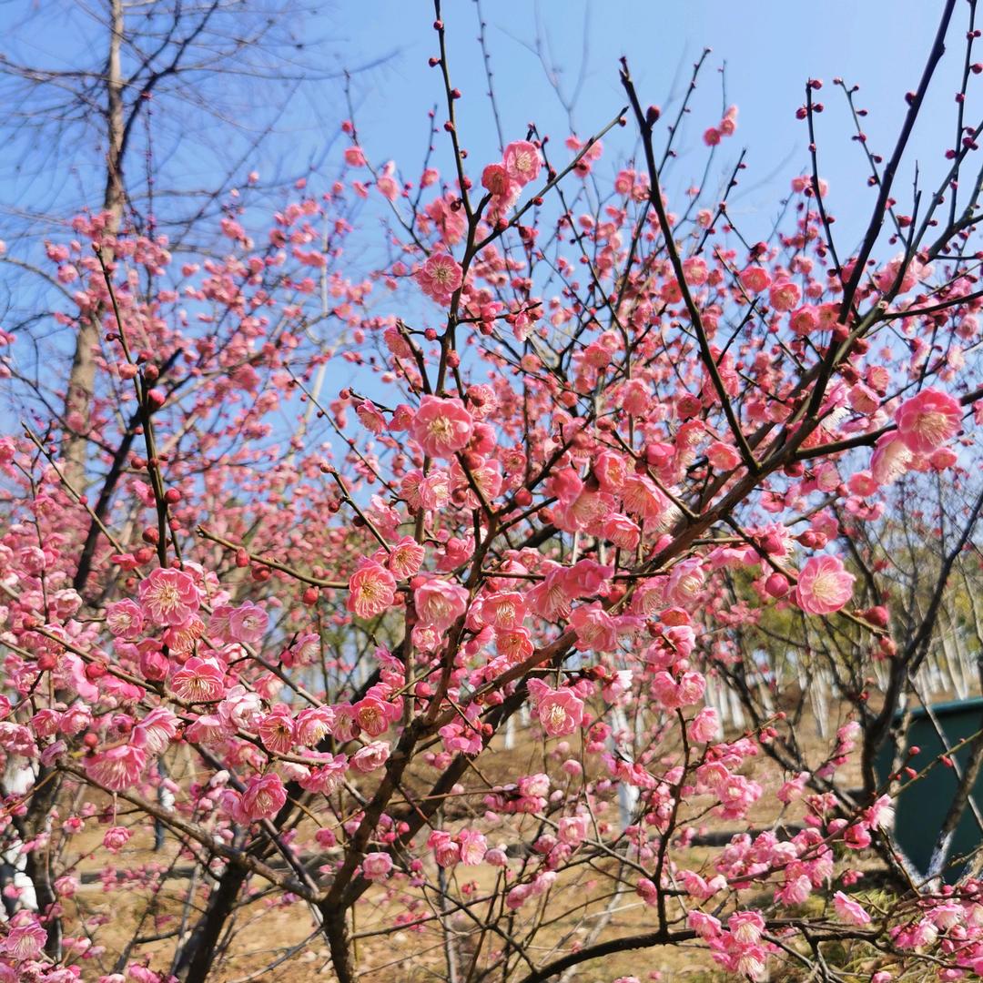 霸气(°ㅂ° ╬)