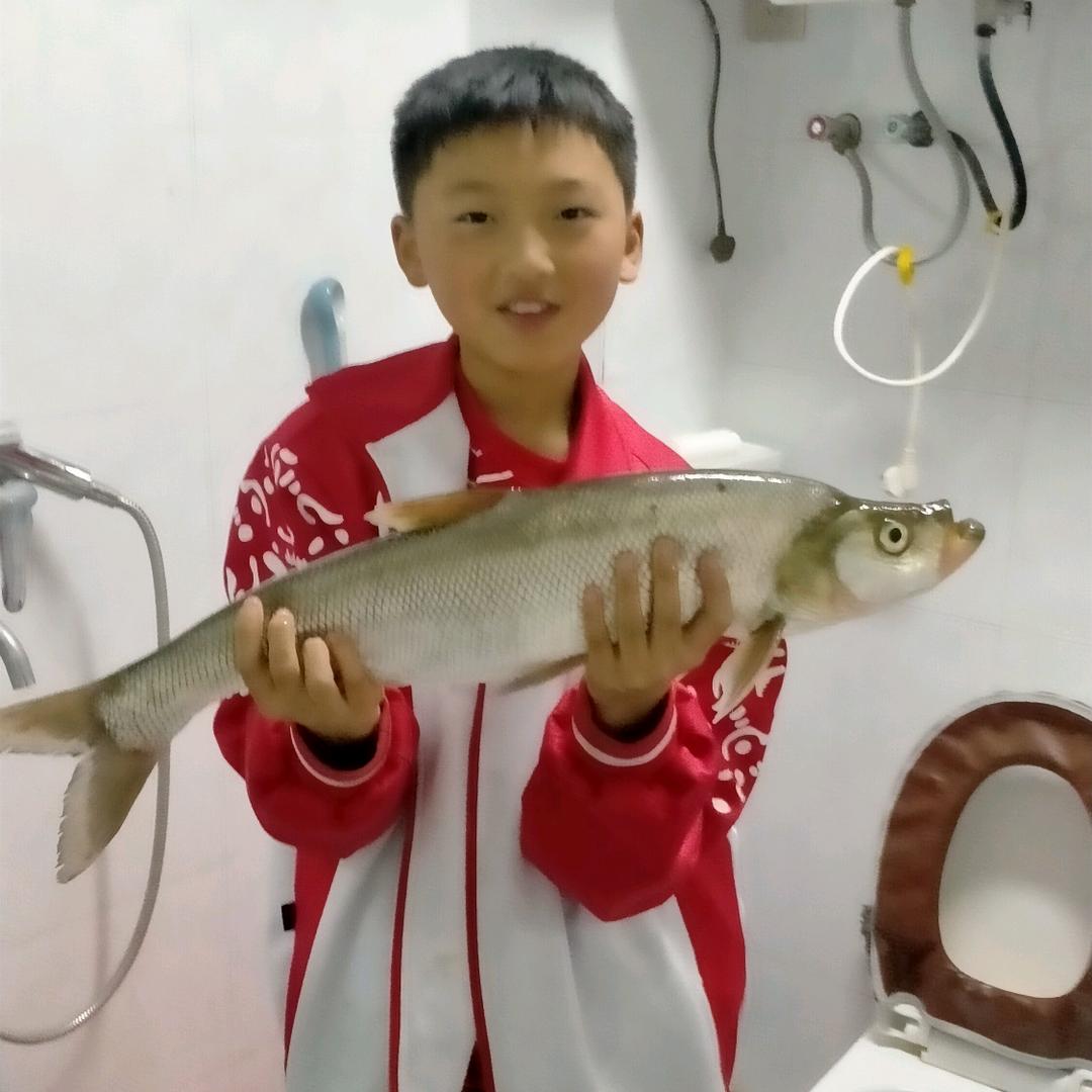 心若移动……何须联通