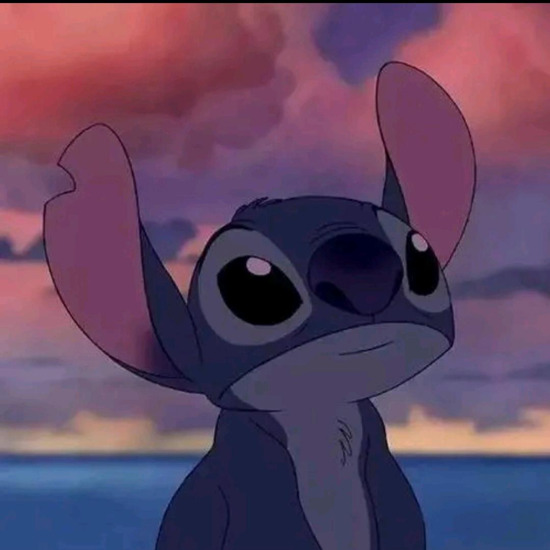 后花园里小金刚