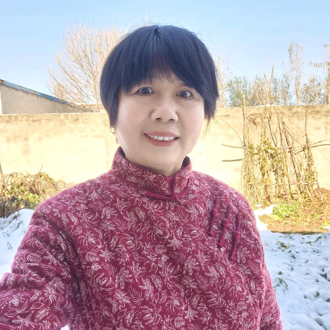 韵蕾新能源电动三轮四轮