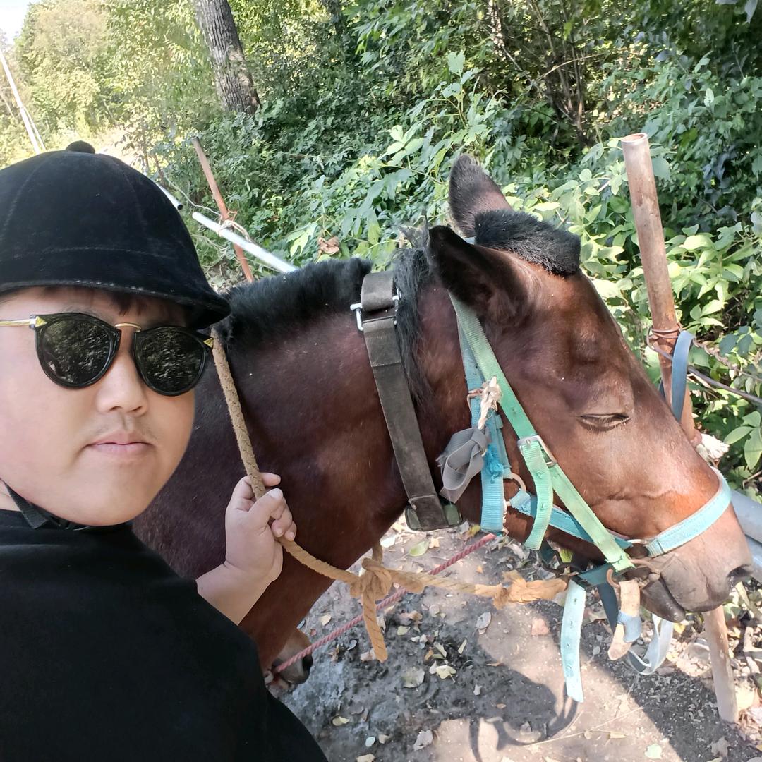 长白山自由旅找苗胖