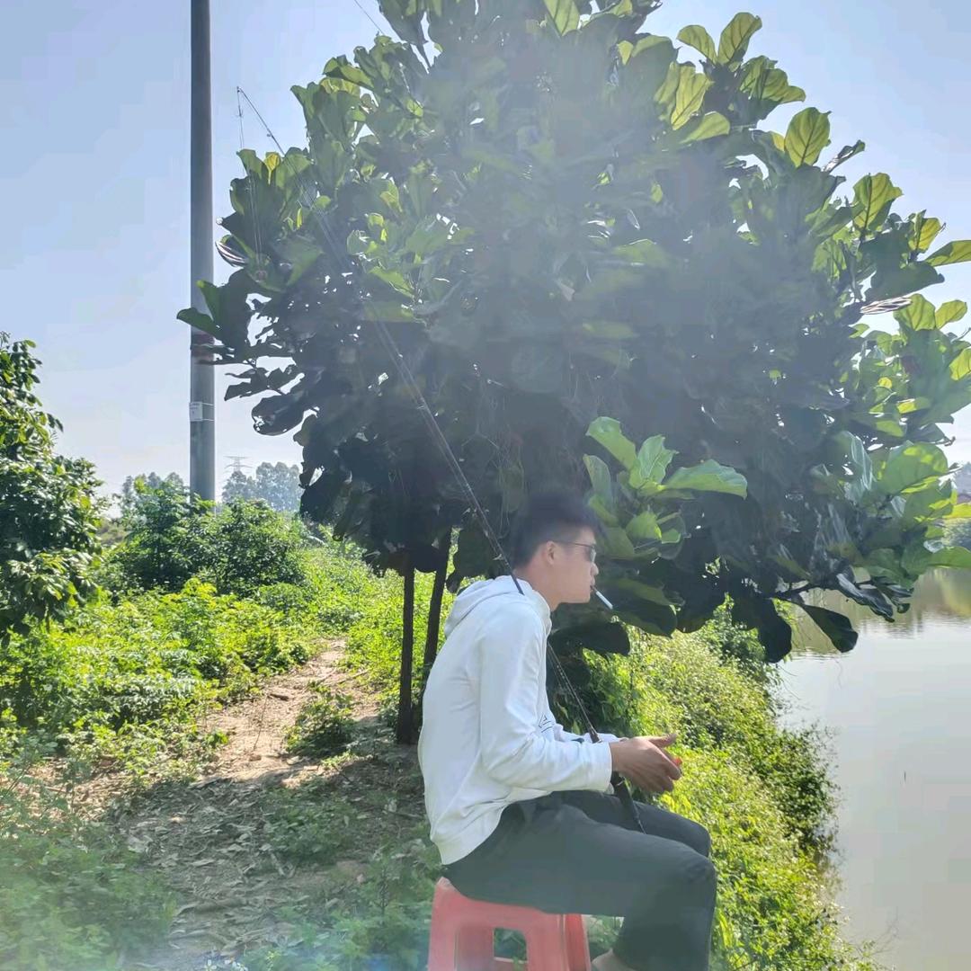 @鱼多多
