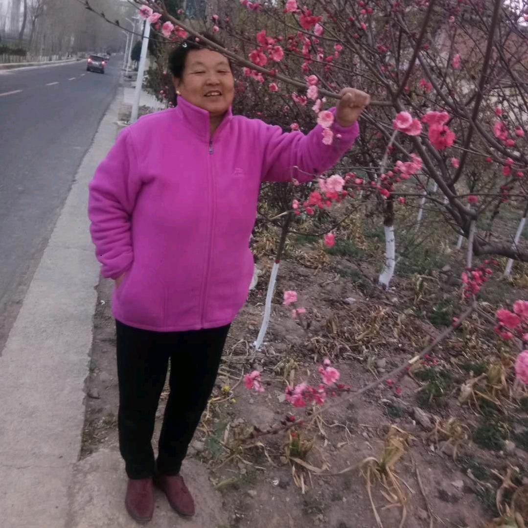 牡丹.