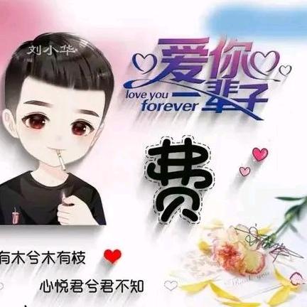 随性人