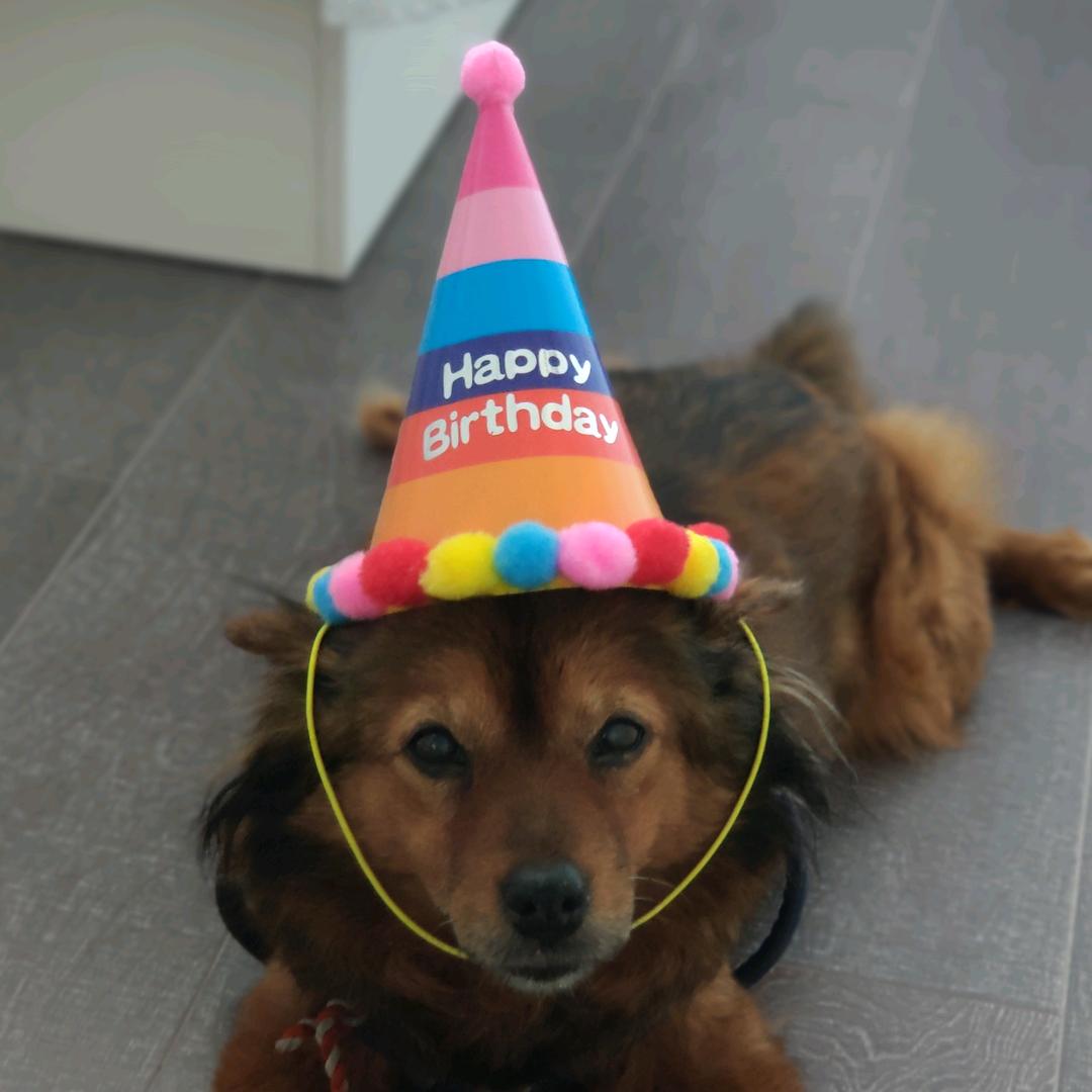 👑^贝贝^🍭球球🌈