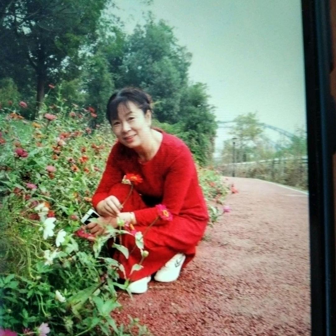 陈介红