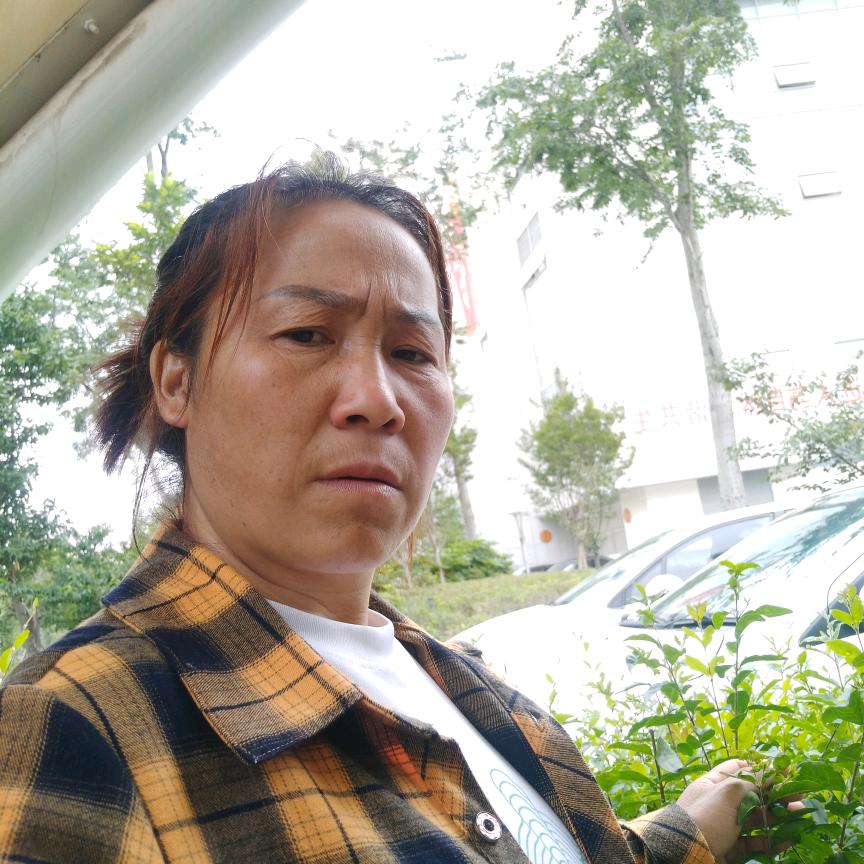 身轻如燕