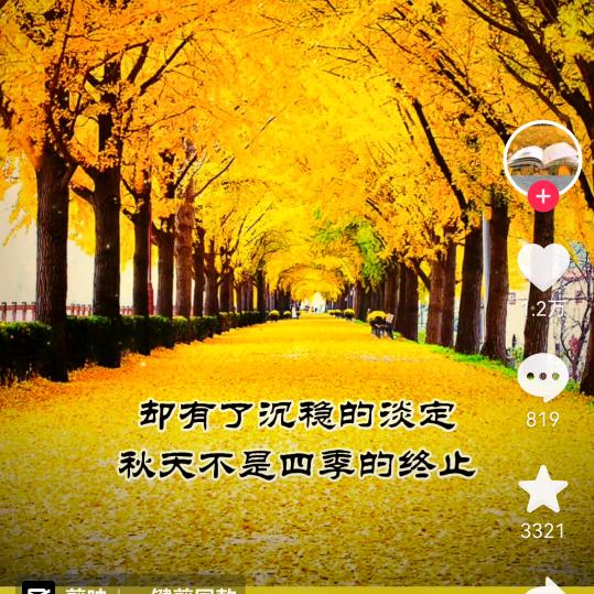 执着服装