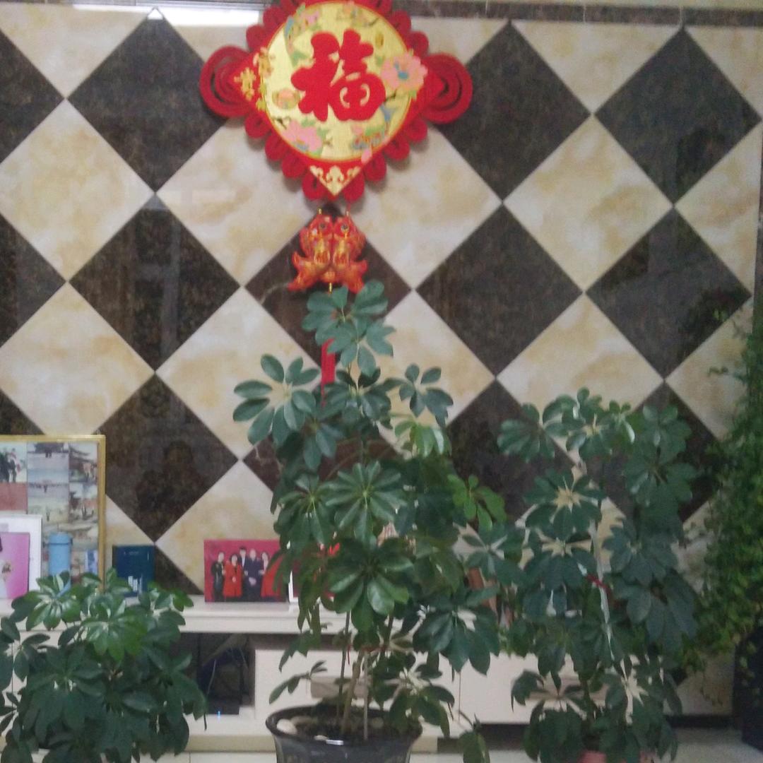 快乐