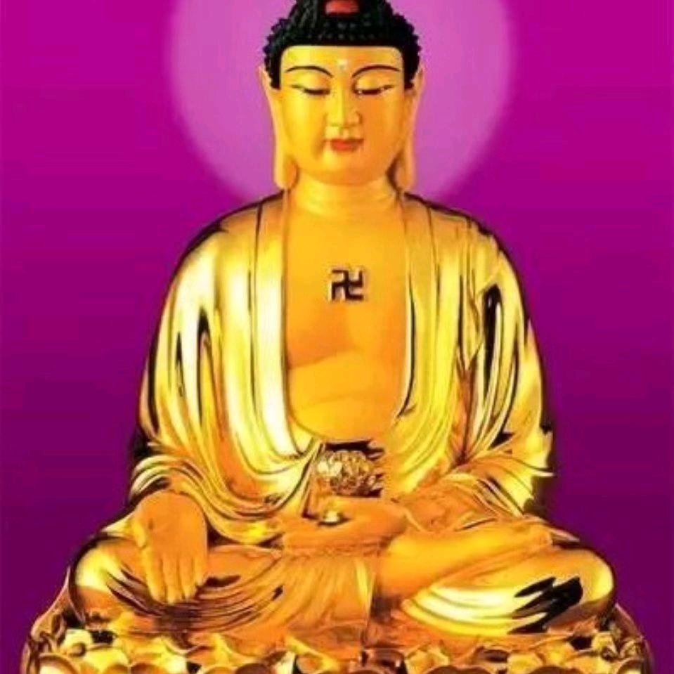 daosi19176545523