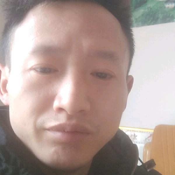 风驰天下