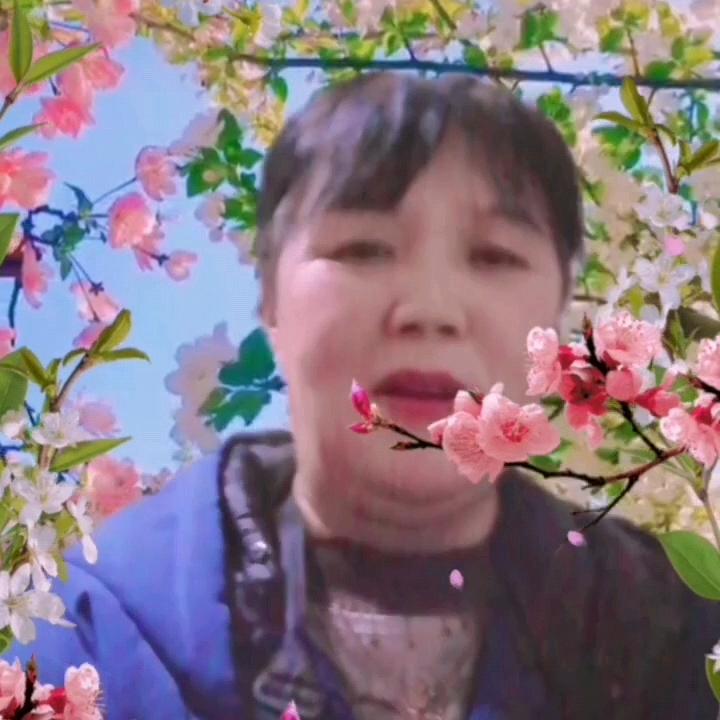 圆缘园