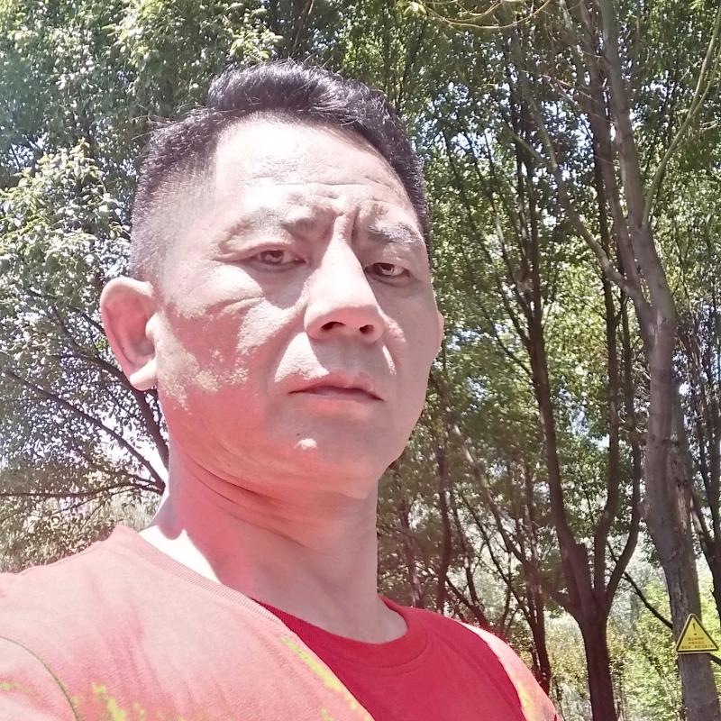 抖抖歌[地摊生活]