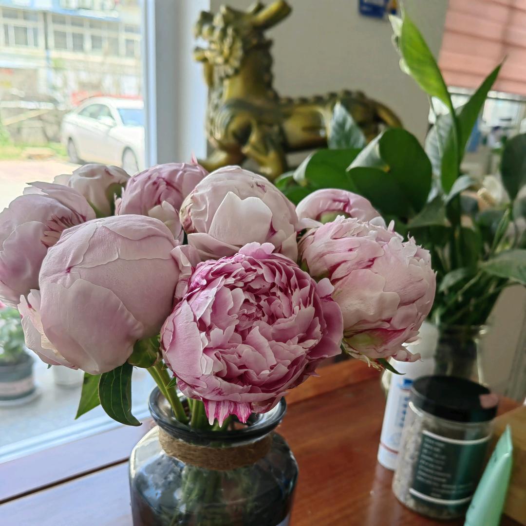 🐏🔆🐏阿桃
