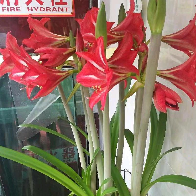 水清天蓝