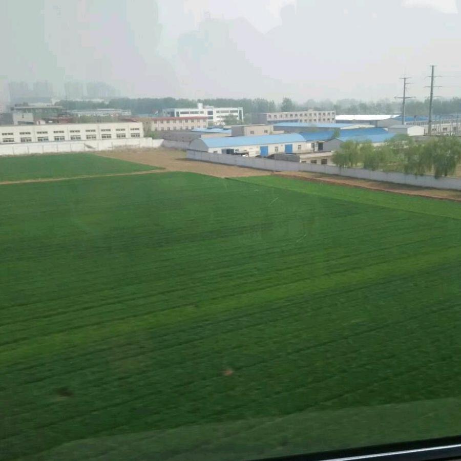 风轻云淡